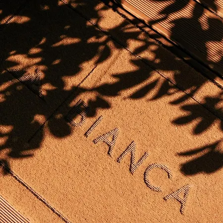 Bianca & *